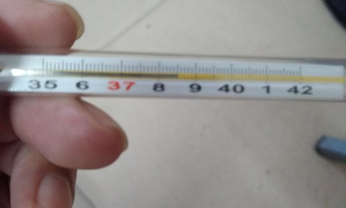 通窍鼻炎片主治-通化通窍鼻炎片说明书-专业通窍鼻炎片药品说明书平台-通窍鼻炎片价格